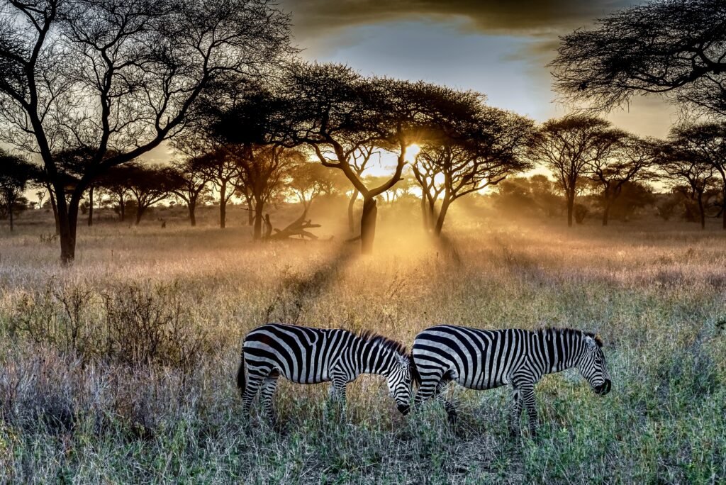 safari world
