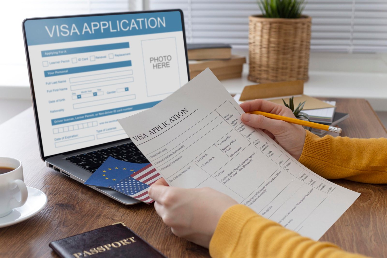 visa process mice le voyage