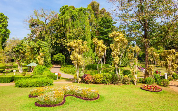 Sri lanka Tour packages