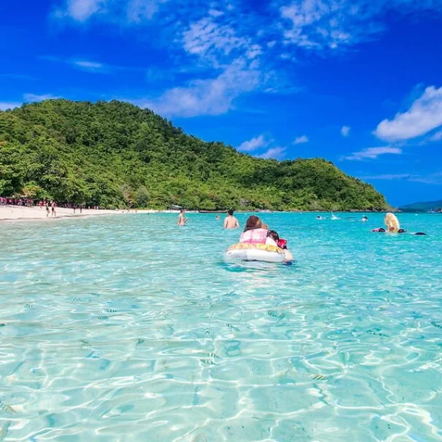 Thailand Delight